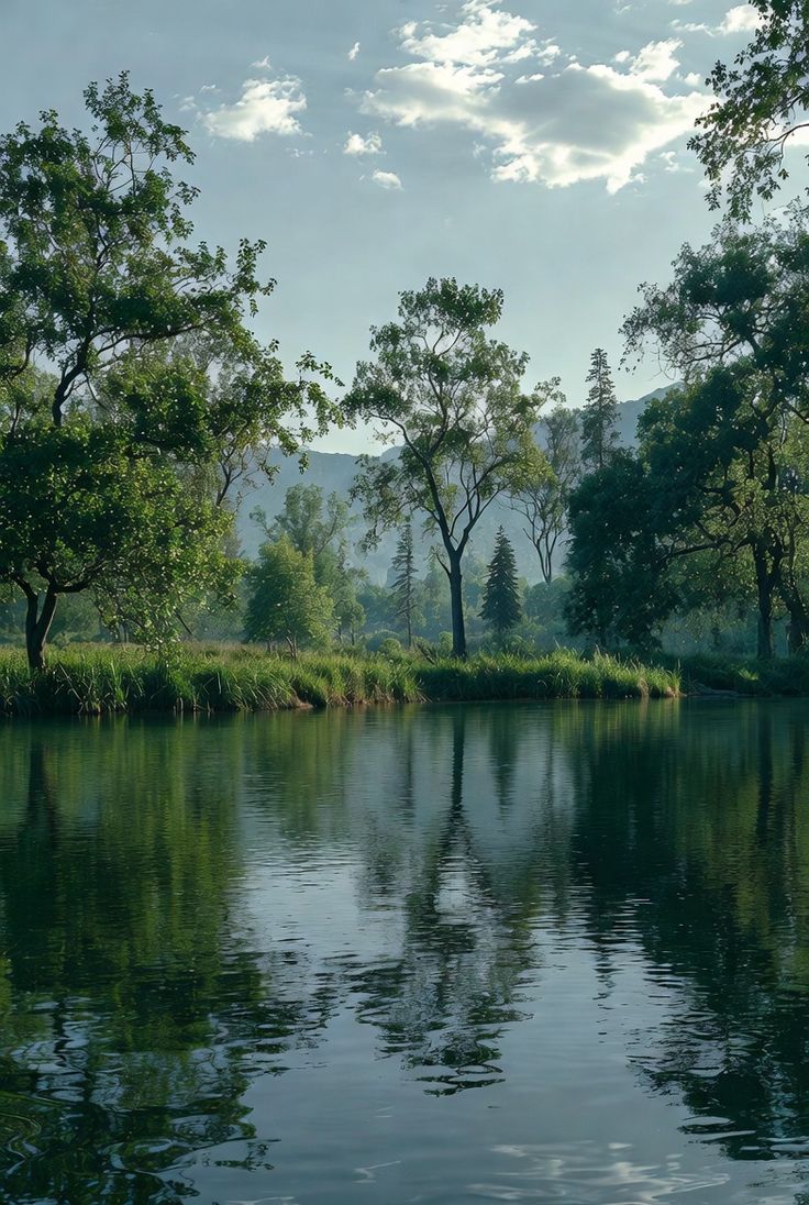 Calm waterside path with still water reflecting trees and afternoon sky